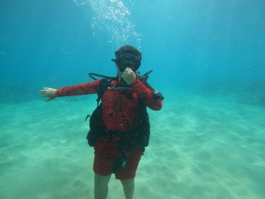 Oahu: Beginner SCUBA Dive at Electric Beach - Who Should Book This Experience?