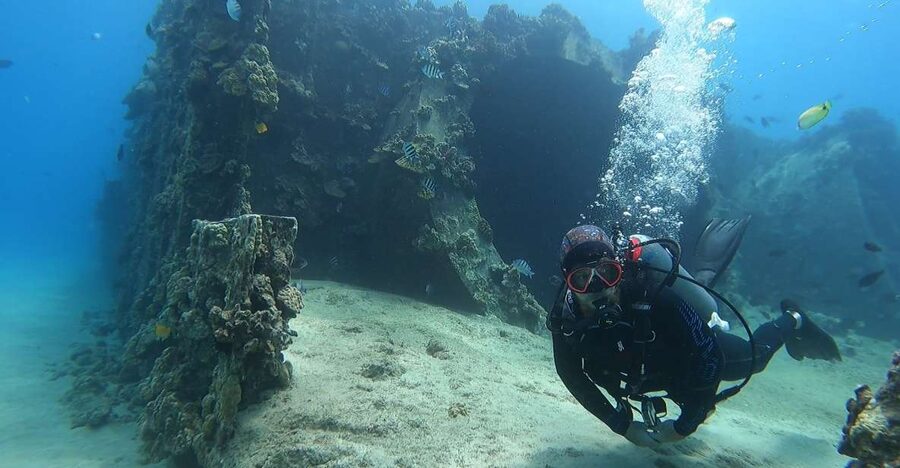 Oahu: Beginner SCUBA Dive at Electric Beach - Meeting at Kahe Point Beach Park