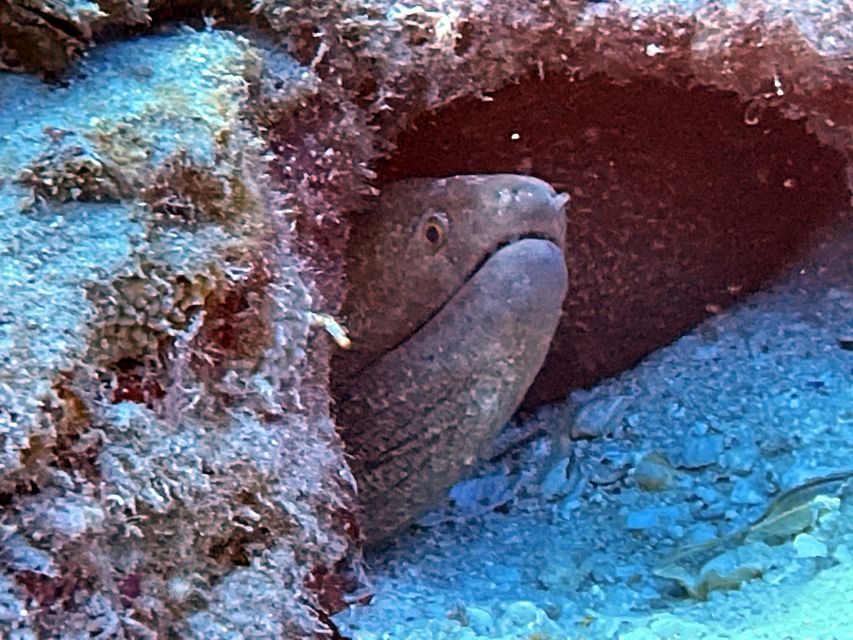 Oahu Night Dive: Adventure for Certified Divers - A 30-minute sunset break on the boat