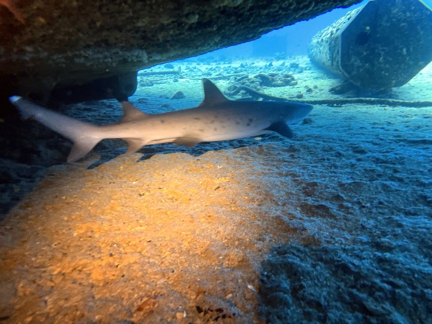 Oahu Night Dive: Adventure for Certified Divers - Second session: the reef in complete darkness