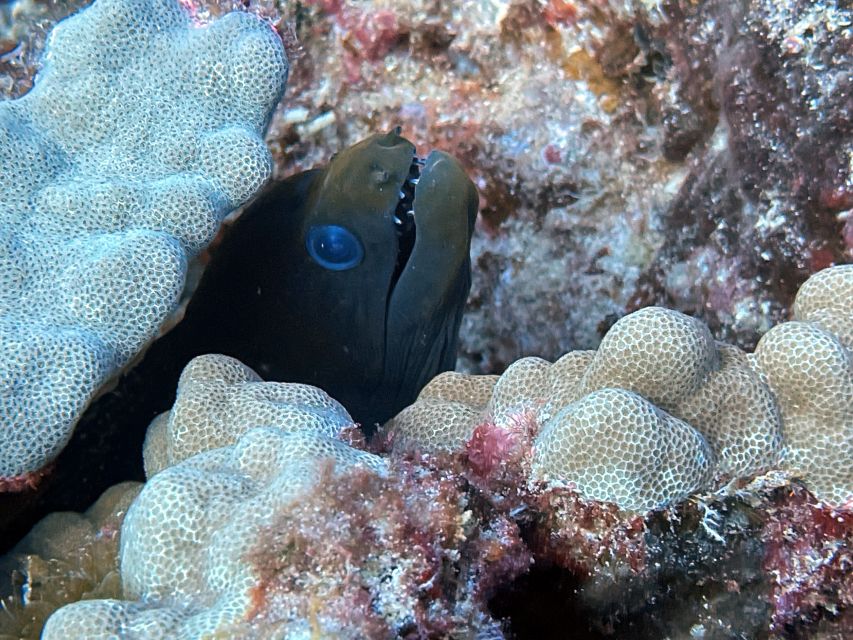 Oahu Night Dive: Adventure for Certified Divers - The boat helps during the long evening