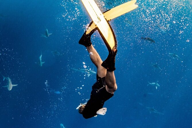 Oahu Open Water Shark Diving Experience - The Boat Ride Toward North Shore Shark Waters