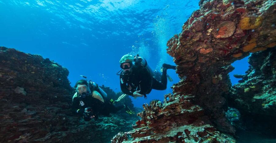 Oahu: Shallow Reef Scuba Dive for Certified Divers - What happens at Dive Oahu in Ala Moana