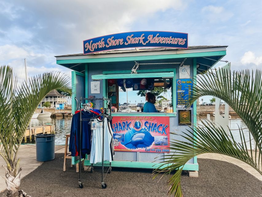 Oahu: Shark Cage Dive on the North Shore - From Haleiwa Harbor to the open Pacific