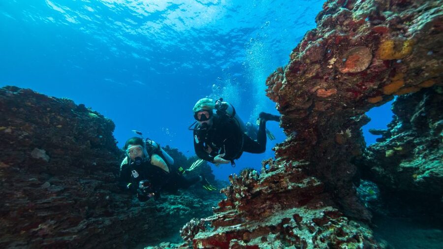 Oahu: Wreck & Reef Scuba Dive for Certified Divers - Key points to know before booking