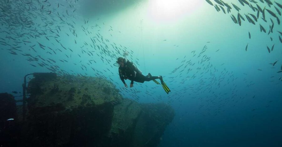Oahu: Wreck & Reef Scuba Dive for Certified Divers - Starting at Kewalo Basin with the right gear