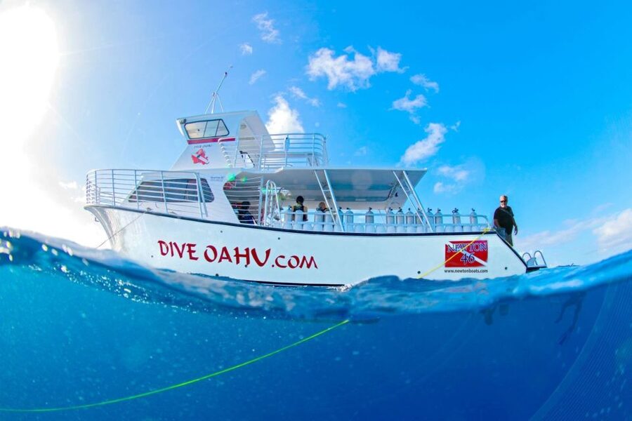 Oahu: Wreck & Reef Scuba Dive for Certified Divers - YO-257 and San Pedro: two ships in one area