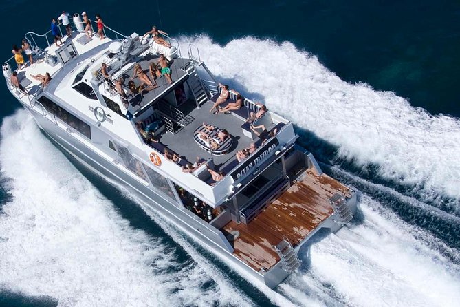 Ocean Freedom Great Barrier Reef Luxury Snorkel and Dive Cruise - A full reef day from Cairns