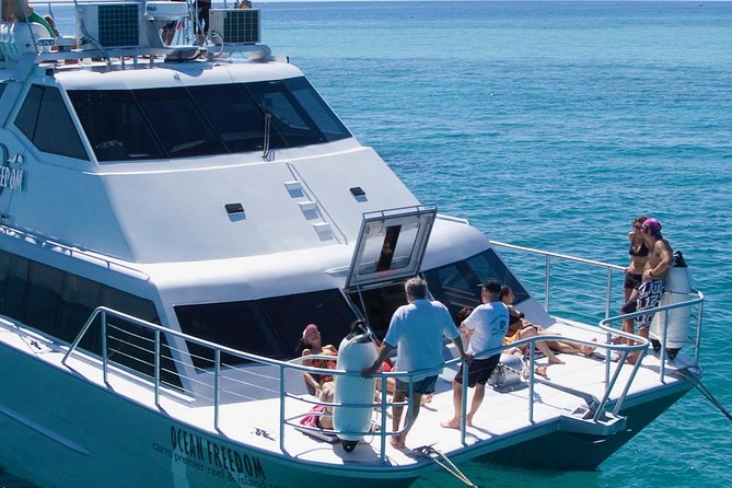 Ocean Freedom Great Barrier Reef Luxury Snorkel and Dive Cruise - Guided snorkeling is the heart of the trip