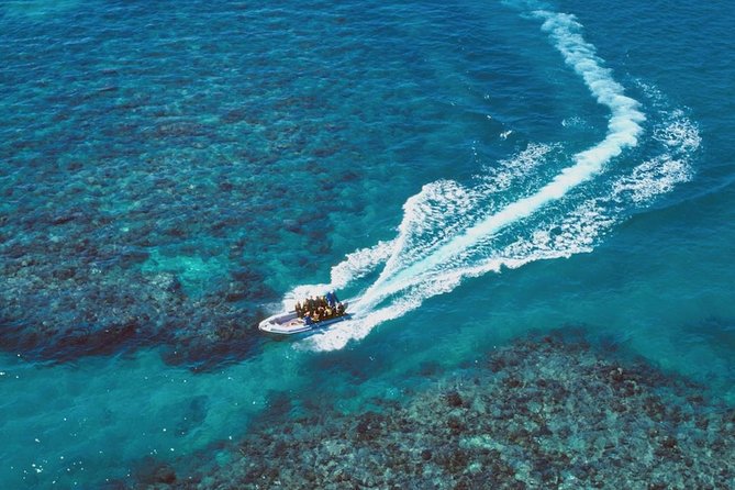 Ocean Freedom Great Barrier Reef Luxury Snorkel and Dive Cruise - Lunch and snacks make the long day easier