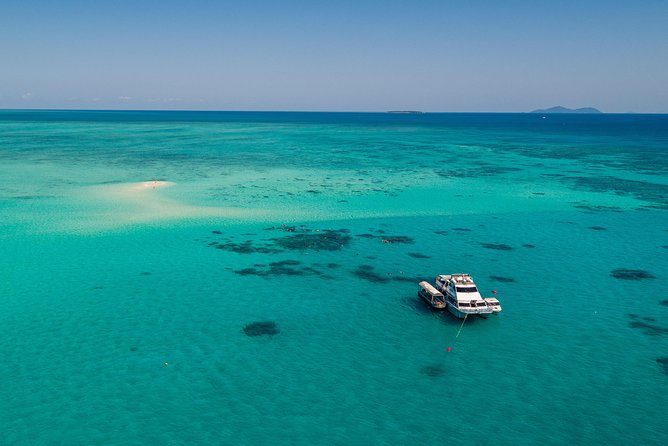 Ocean Freedom Great Barrier Reef Luxury Snorkel and Dive Cruise - Is the $181.28 price good value?