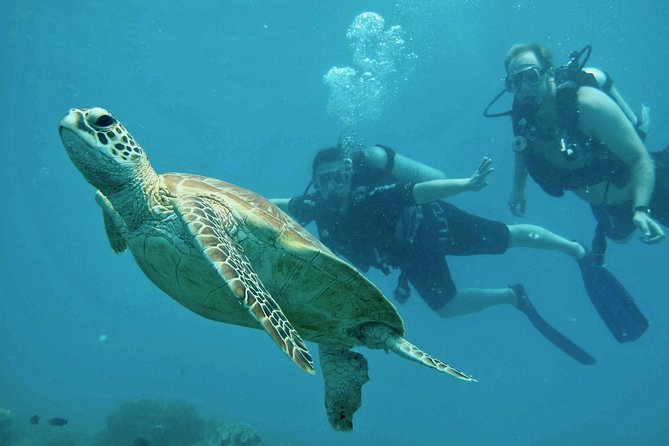 Ocean Freedom Great Barrier Reef Luxury Snorkel and Dive Cruise - Weather, visibility, and comfort
