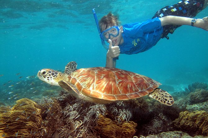 Ocean Spirit Sail to Michaelmas Cay Snorkel or Dive, from Cairns - Leaving Cairns on the Ocean Spirit catamaran