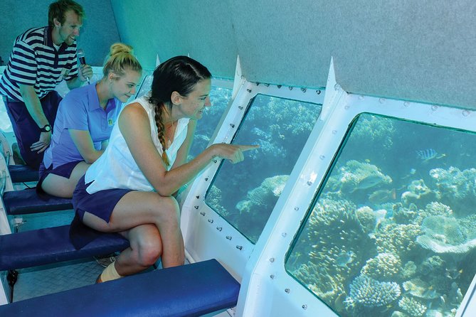 Ocean Spirit Sail to Michaelmas Cay Snorkel or Dive, from Cairns - Snorkeling over coral gardens and giant clams