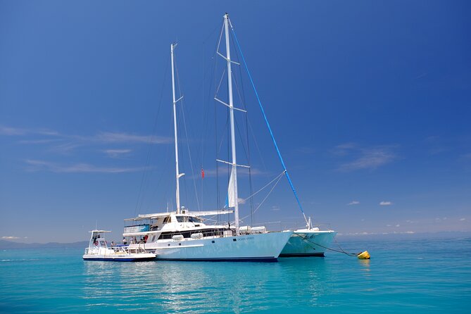 Ocean Spirit Sail to Michaelmas Cay Snorkel or Dive, from Cairns - Michaelmas Cay, a bird colony with a reef at its doorstep