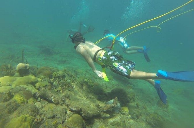 OCTOPUS DIVING (hookah diving) NO Experience Needed - How Octopus Diving works at Steps Beach