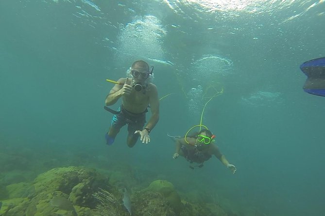 OCTOPUS DIVING (hookah diving) NO Experience Needed - Why the floating tank matters