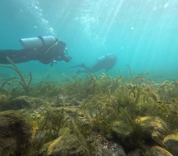 Ohrid: Scuba Diving Experience in Lake Ohrid - At a Glance