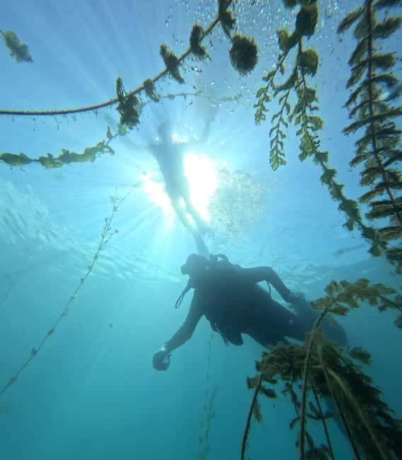 Ohrid: Scuba Diving Experience in Lake Ohrid - FAQ