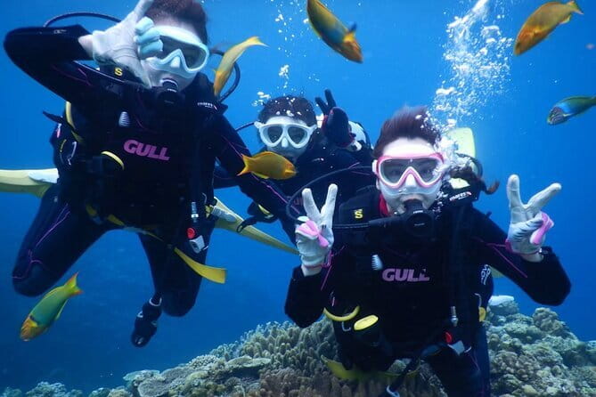 Okinawa: Discover SCUBA Diving 2 Dives at Minna, Sesoko or Motobu - Key points to know before booking