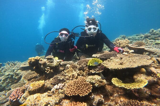 Okinawa: Discover SCUBA Diving 2 Dives at Minna, Sesoko or Motobu - Starting at Yamagawa Port in Motobu