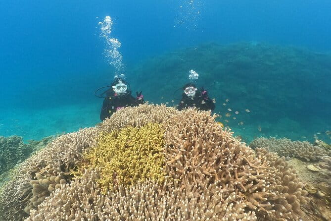 Okinawa: Discover SCUBA Diving 2 Dives at Minna, Sesoko or Motobu - What the two underwater sessions are like