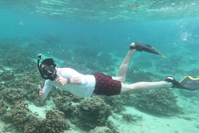 Okinawa: Discover SCUBA Diving 2 Dives at Minna, Sesoko or Motobu - Tea, fruit, and a considerate boat experience