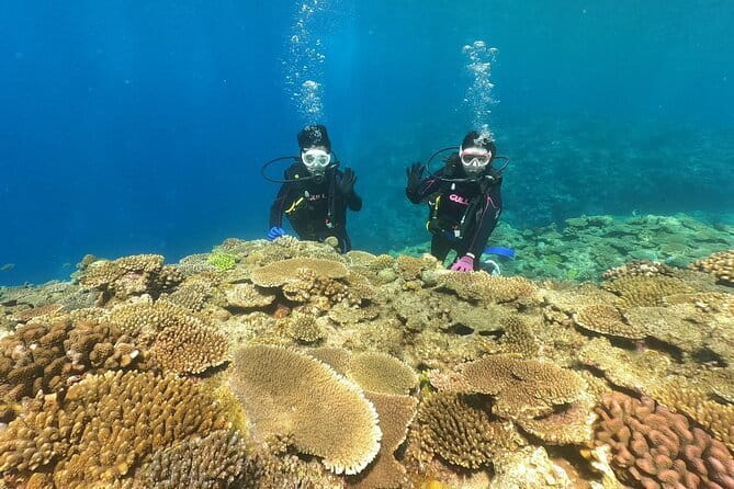 Okinawa: Discover SCUBA Diving 2 Dives at Minna, Sesoko or Motobu - The briefing and equipment setup