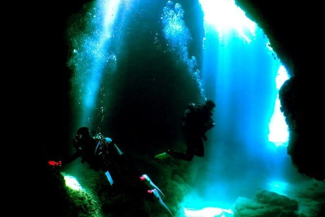 Okinawa:Kerama Islands experience Diving/Snorkeling/WhaleWatching - Zamami, Tokashiki, Kuroshima, and Maejima