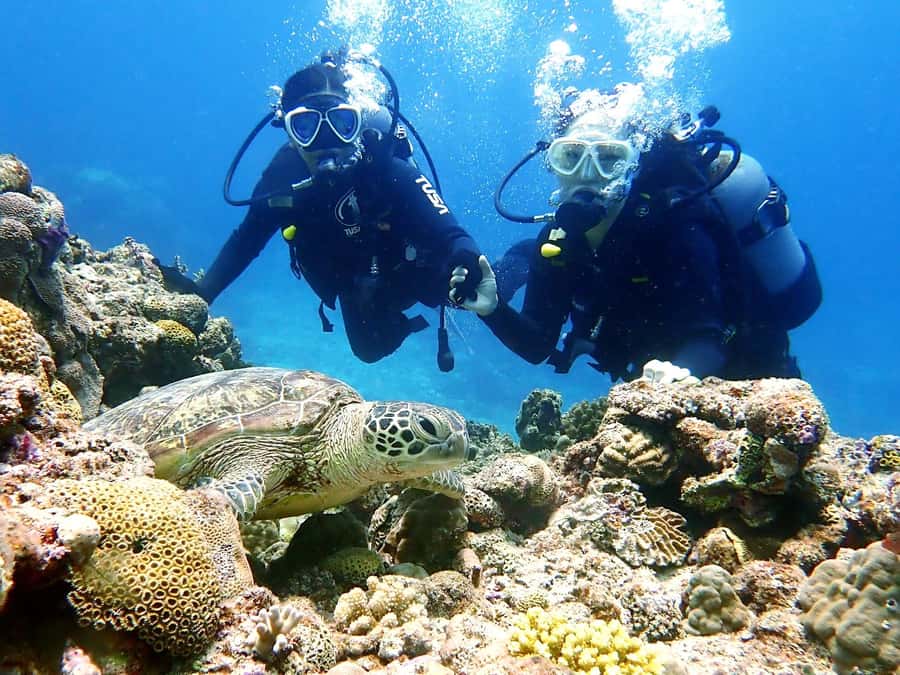 Okinawa:Naha:Kerama Island Experience １Dive and Snorkeling - The First Kerama Stop: Getting Comfortable