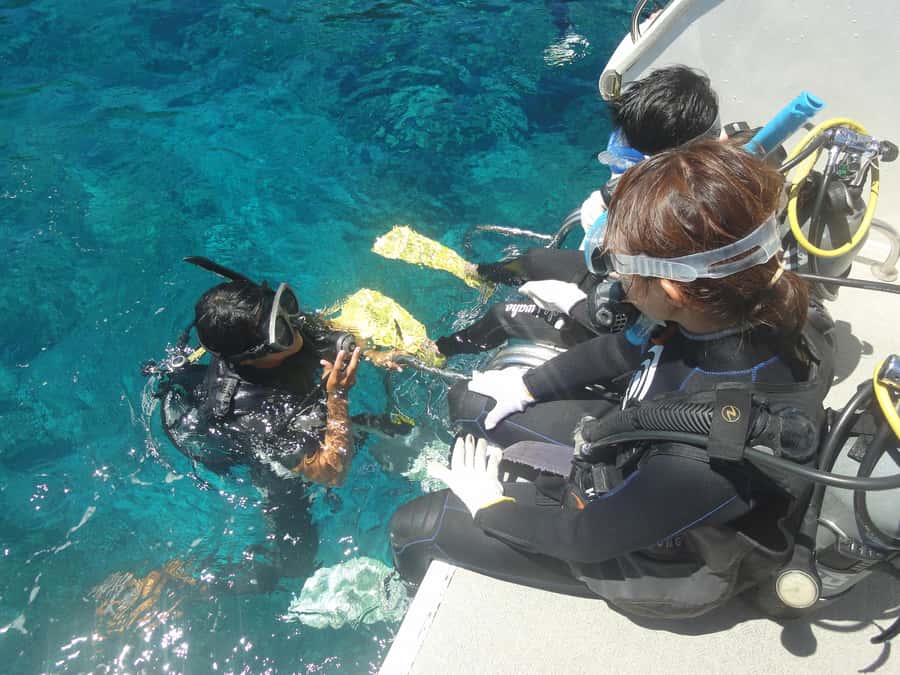 Okinawa:Naha:Kerama Island Experience １Dive and Snorkeling - Seasonal Whale Watching From January 12