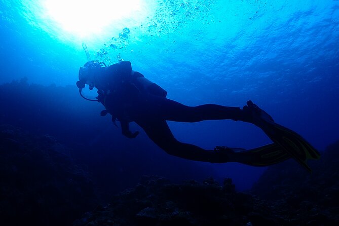 Okinawa Scuba Diving For Certified Divers (3 boat dives + Lunch) - Key Points Before You Book