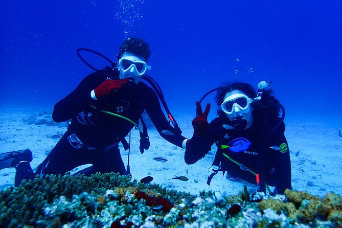 Okinawa: Scuba Diving Tour with Wagyu Lunch and English guide - Quick takeaways for your Okinawa planning