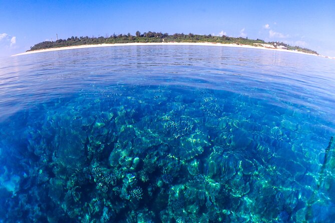 Okinawa: Scuba Diving Tour with Wagyu Lunch and English guide - Why beginners may feel at ease underwater