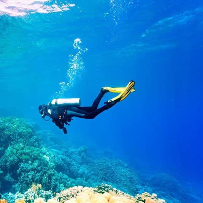 Oludeniz Half Day Scuba Diving Program - Key points to know before booking
