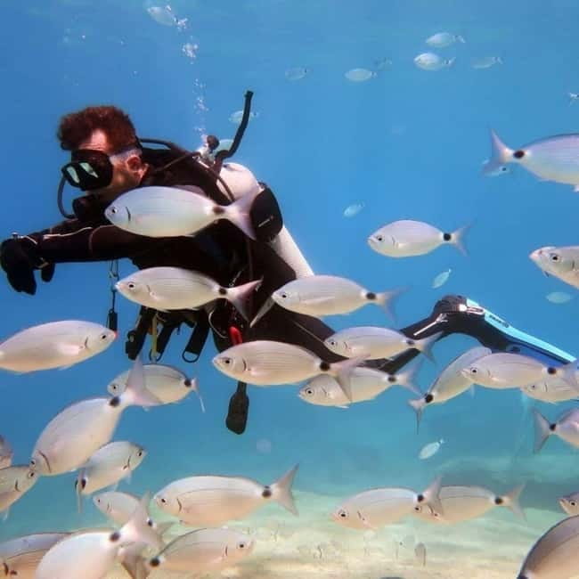 Oludeniz Half Day Scuba Diving Program - Is $87 a fair price?