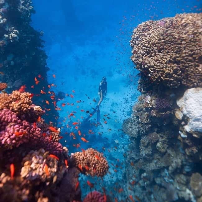 Oludeniz Half Day Scuba Diving Program - Booking, timing, and cancellation