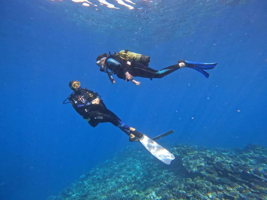 One-hour introduction to scuba diving! - Key points to know before booking