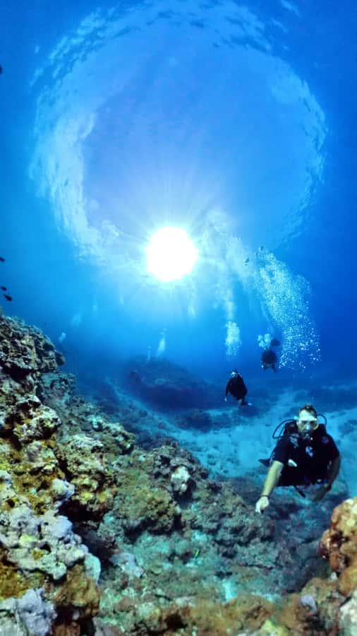 One-hour introduction to scuba diving! - Learning the equipment before entering the sea