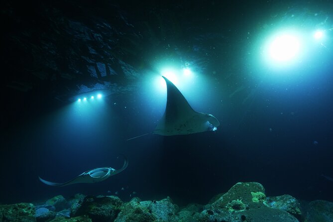 One Tank Manta Night Dive and Snorkel - What the Three-Hour Schedule Feels Like
