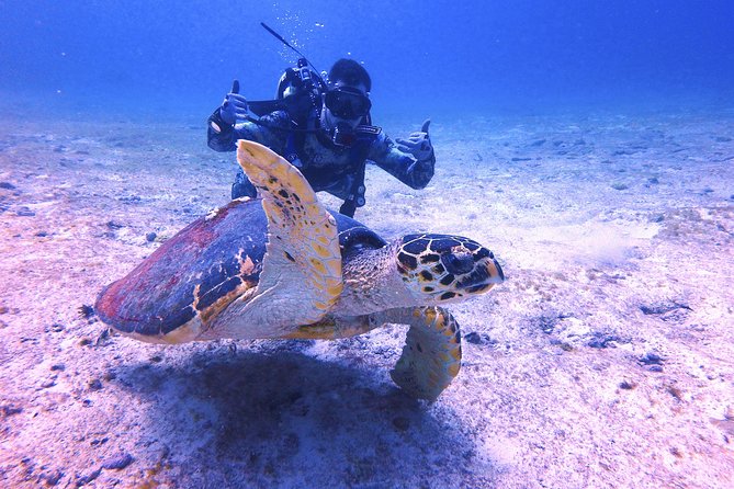 Open Water Certification Course-PADI - The Instructors Matter More Than the Scenery