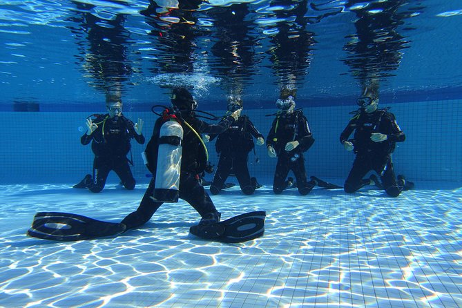 Open Water Diver 2-Day PADI Course in Playa del Carmen - Four afternoon sessions from a boat