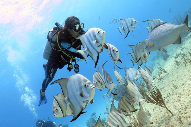 Open Water Diver 2-Day PADI Course in Playa del Carmen - Booking details and the cancellation risk