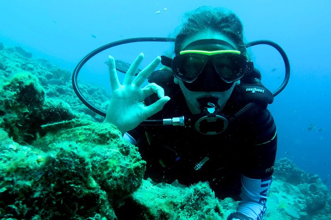 Open Water Diver Course at Blue Bay Dive in Curacao - Key points to know before booking