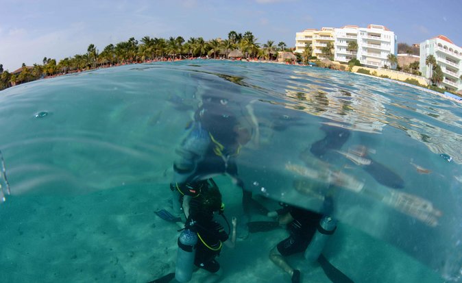 Open Water Diver Course at Blue Bay Dive in Curacao - Day two: four sessions on The Garden and The Wall