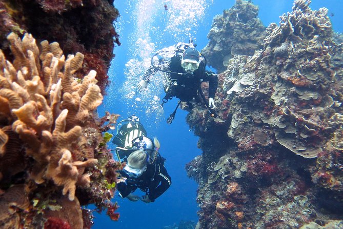 Open Water Diver course PADI in Cancun - How the instructors shape the experience