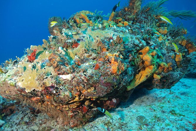 Open Water Diver course PADI including underwater video - The instructors make the biggest difference