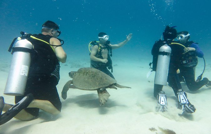 Open Water Scuba Certification - What the $495 course really gives you