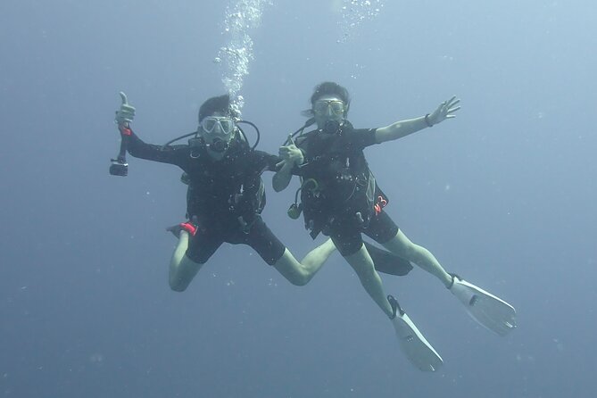 Open Water Scuba Certification - Day four: the final two check-out sessions