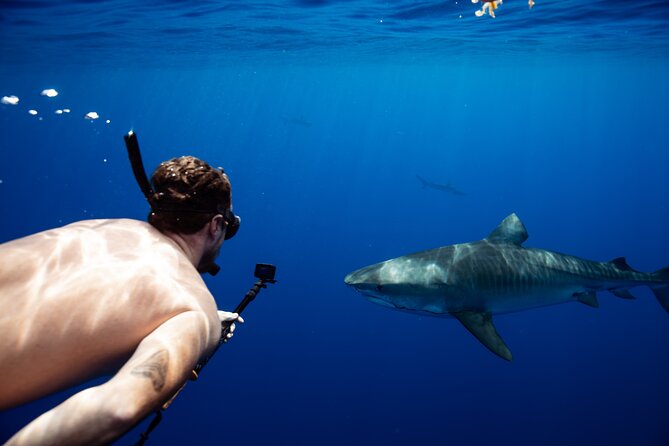 Open Water Shark Dive - The Boat Ride To The Shark Site
